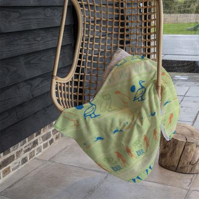 The Range Hieroglyphic Egyptian Language Symbols Blanket - Green