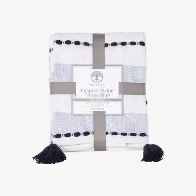 The Range Divante Caspian Stripe Throw Blue