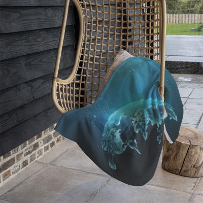 The Range Map Of The Planet Blanket - Blue