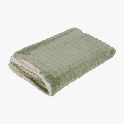 The Range Soft Milk Velvet and Lamb Fleece Warm Throw Blanket - Green / 200cm L x 180cm W