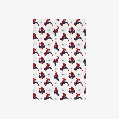 The Range Spider-Man Action Throw
