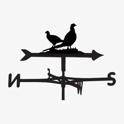 Cuckooland Weathervane in Pheasant Design - Large (Traditional)