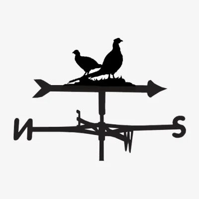 Cuckooland Weathervane in Pheasant Design - Medium (Cottage)
