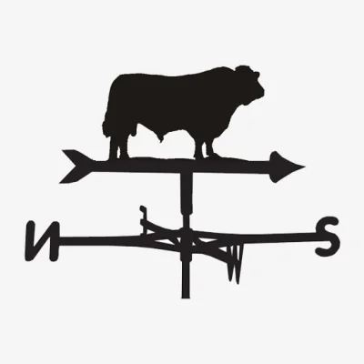 Cuckooland Weathervane in Bull Design - Medium (Cottage)