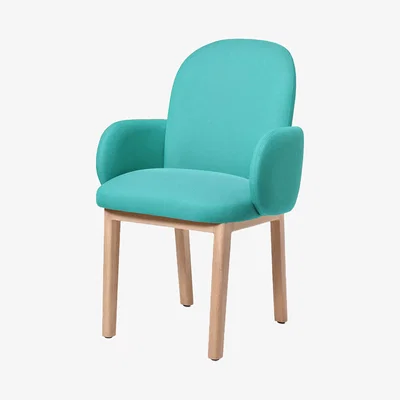 Bombinate.com Light Green Dost Wood Diner Chair