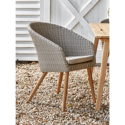 Cox and Cox Two Faux Rattan Dining Chairs