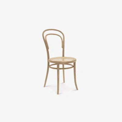 Cult Furniture Egil Bentwood Dining Chair, Oak