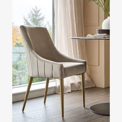 Danetti Juliana Champagne Velvet With Brushed Brass Dining Chair