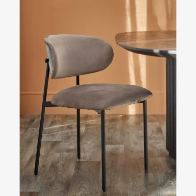 Danetti Cree mocha velvet dining chair