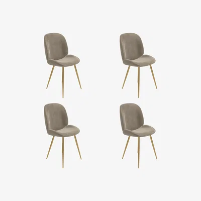 Furniture123 Set of 4 Mink Velvet Dining Chairs with Gold Legs - Jenna
