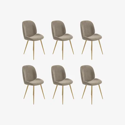 Furniture123 Set of 6 Mink Velvet Dining Chairs with Gold Legs - Jenna