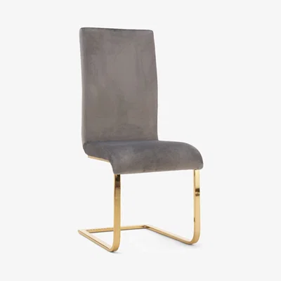 Oak&More Malaga Grey Velvet Gold Leg Dining Chairs - Grey, 2 Chairs