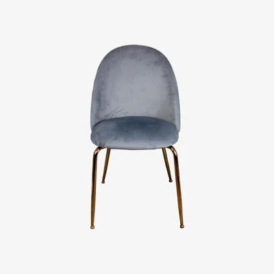 Olivia's Native Home Dining Chair Velvet - Gold Legs