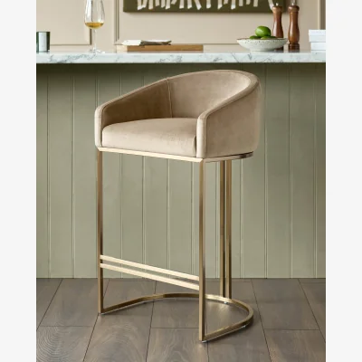 Danetti Dakota Champagne Velvet & Brass Bar stool