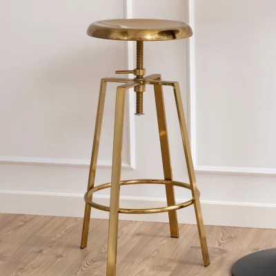 The Range Goose Bar Stool Without Back in Gold Brushed Steel With Adjustable Height - Gold