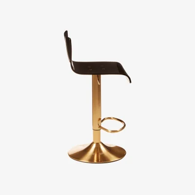 The Range Baina Black Acrylic Seat Bar Stool with Gold Base - Gold