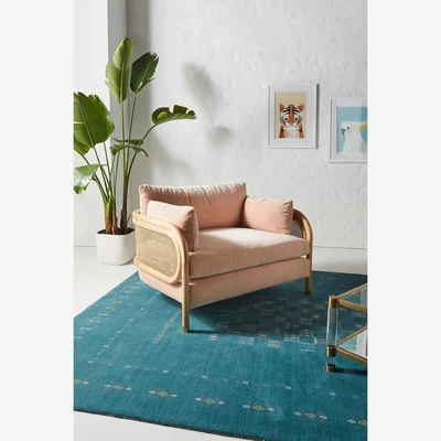 Anthropologie Heatherfield Velvet-Upholstered Cane Armchair