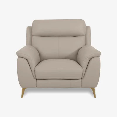 Furniture Village World of Leather - Eclipse Leather Chair - Feather