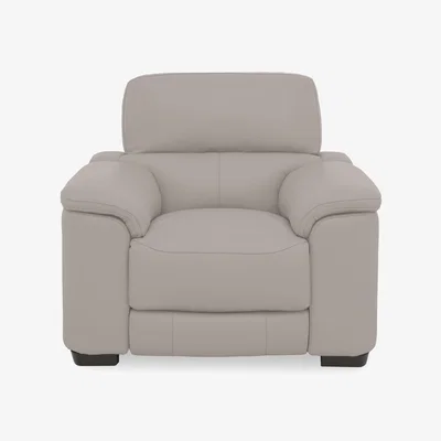 Furniture Village World of Leather - Nova BV Leather Chair - Silver Grey