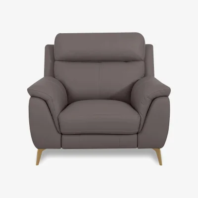 Furniture Village World of Leather - Eclipse Leather Chair - Elephant