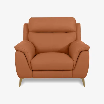 Furniture Village World of Leather - Eclipse Leather Chair - Pecan