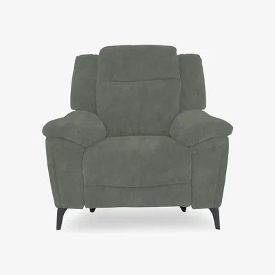 Furniture Village Panache Fabric Chair - Dexter Fern
