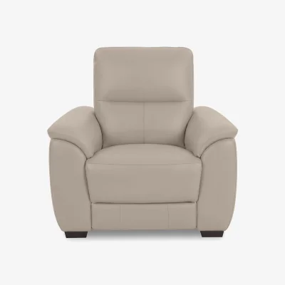 Furniture Village World of Leather - Saffron BV Leather Chair - Feather