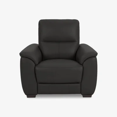 Furniture Village World of Leather - Saffron BV Leather Chair - Shale Grey