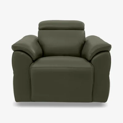 Furniture Village Dolomite Leather Chair - Oslo Pine