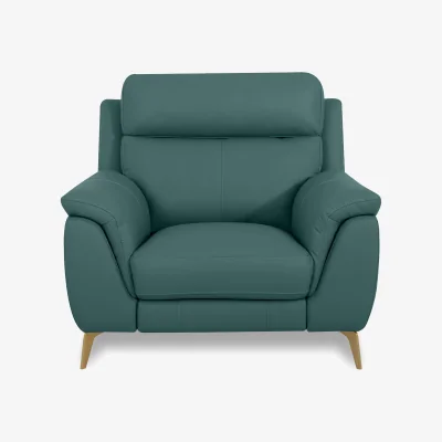 Furniture Village World of Leather - Eclipse Leather Chair - Lake Green