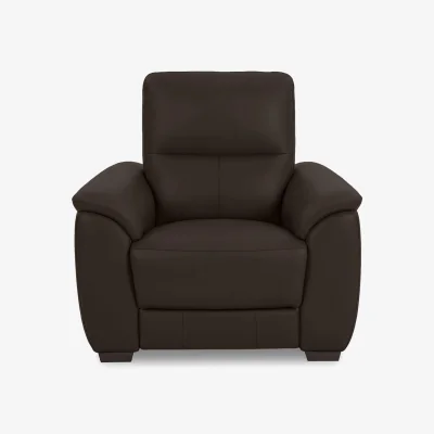Furniture Village World of Leather - Saffron BV Leather Chair - Dark Chocolate