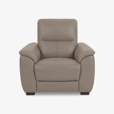 Furniture Village World of Leather - Saffron BV Leather Chair with Power Recliner