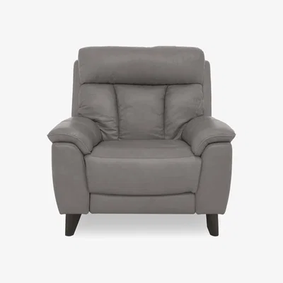 Furniture Village World of Leather - Dreamer BV Leather Power Recliner Chair - BV Elephant