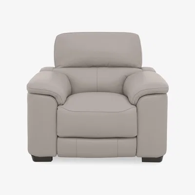Furniture Village World of Leather - Nova HW Leather Chair - Feather