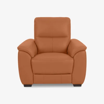 Furniture Village World of Leather - Saffron BV Leather Chair - Pecan Brown