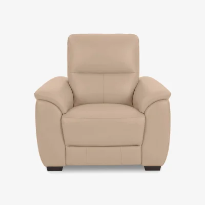 Furniture Village World of Leather - Saffron BV Leather Chair - BV Pebble