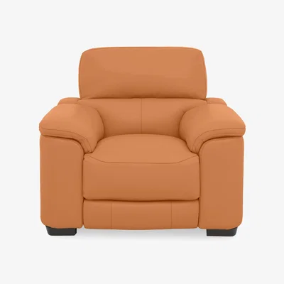 Furniture Village World of Leather - Nova BV Leather Chair - BV Honey Yellow