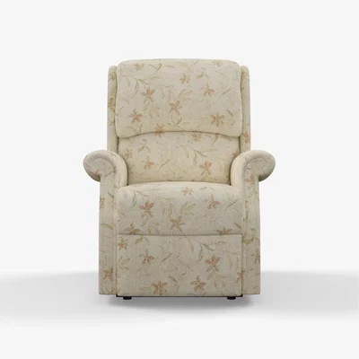 Downtown Celebrity Regent Standard Chair, Leather