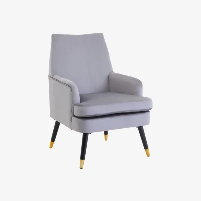 The Range Loretta Grey Velvet Accent Chair - Grey