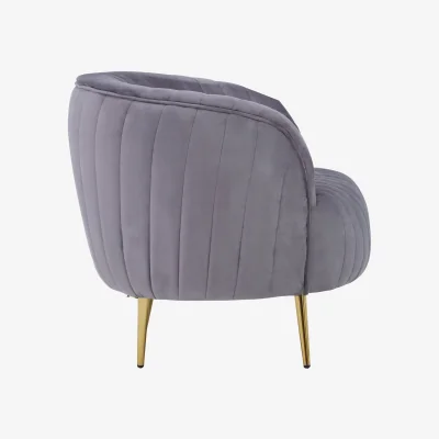 The Range Florina Grey Velvet Chair With Gold Legs - Grey