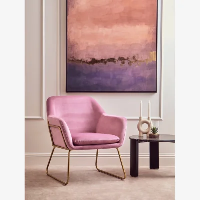 The Range Xander Pink Velvet Modern Accent Chair witg Gold Frame - Pink