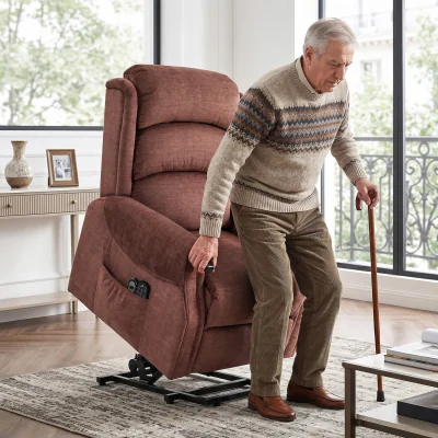 The Range HOMCOM Power Lift Recliner Chair with Vibration and Heat - Brown
