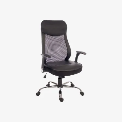 The Range Curve Mesh Chair