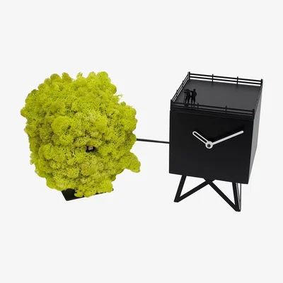 Amara Progetti - Bird Watching Cuckoo Clock - Black/Moss