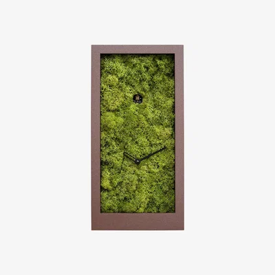 Amara Progetti - Amazon Wall Clock - Brown