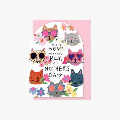 John Lewis Stop the Clock Design Purrfect Mum Mother's Day Card