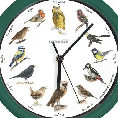 The Range JML - Bird Song Clock - Green