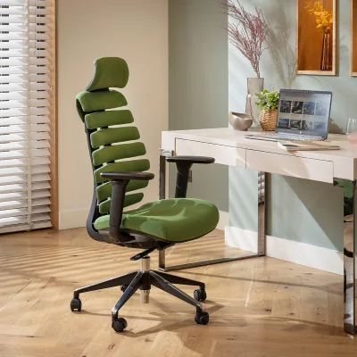 Quatropi Modern Ergonomic Office Chair Home Desk Computer Black Green Fabric