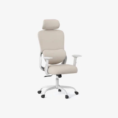 The Range Ergonomic Office Chair with Headrest