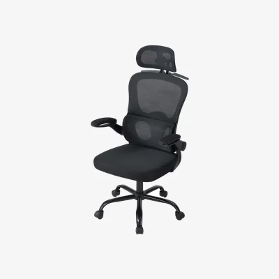 The Range Black Ergonomic Office Chair for Home and Office - Black